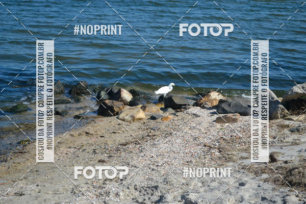 Buy your photos of the eventCorrida Beneficente Rumo ao Mundial on Fotop