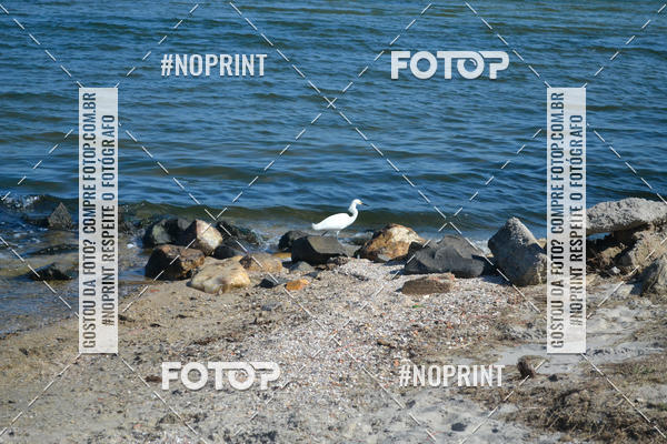 Buy your photos of the eventCorrida Beneficente Rumo ao Mundial on Fotop