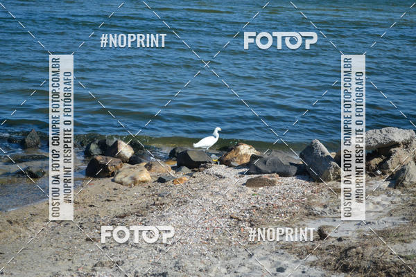 Buy your photos of the eventCorrida Beneficente Rumo ao Mundial on Fotop