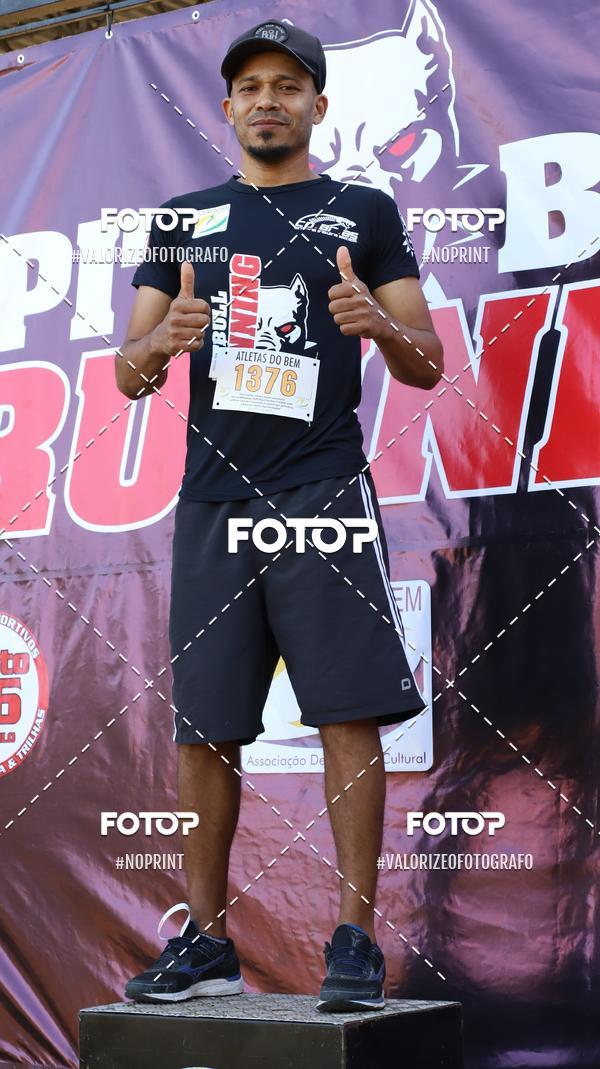 Compra tus fotos del eventoPIT BULL RUNNING En Fotop