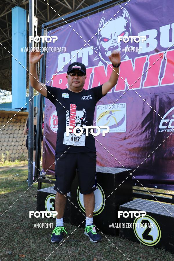 Buy your photos of the eventPIT BULL RUNNING on Fotop