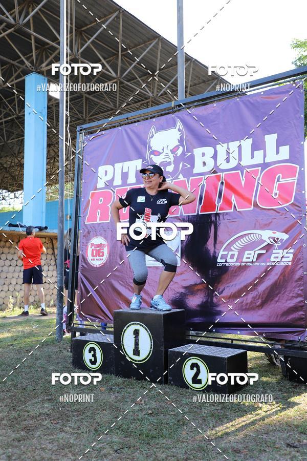 Buy your photos of the eventPIT BULL RUNNING on Fotop