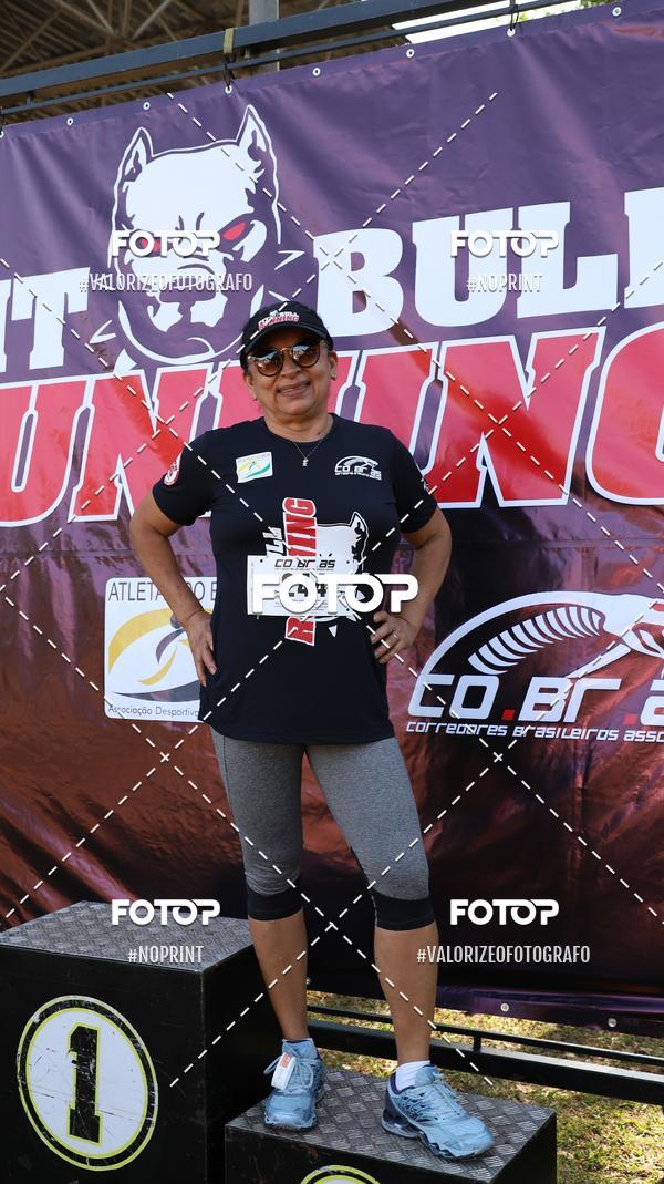 Buy your photos of the eventPIT BULL RUNNING on Fotop