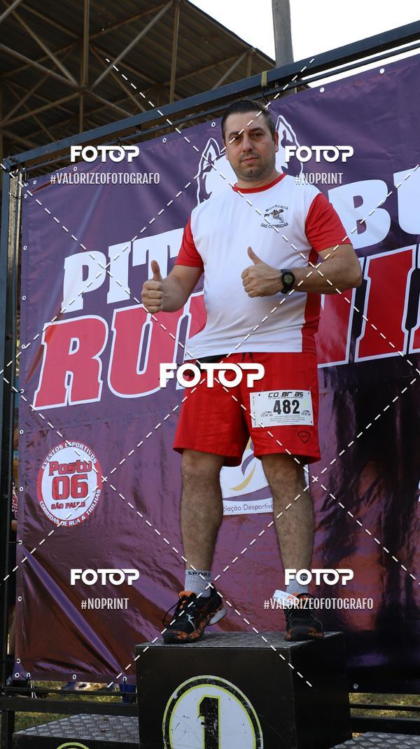 Buy your photos of the eventPIT BULL RUNNING on Fotop