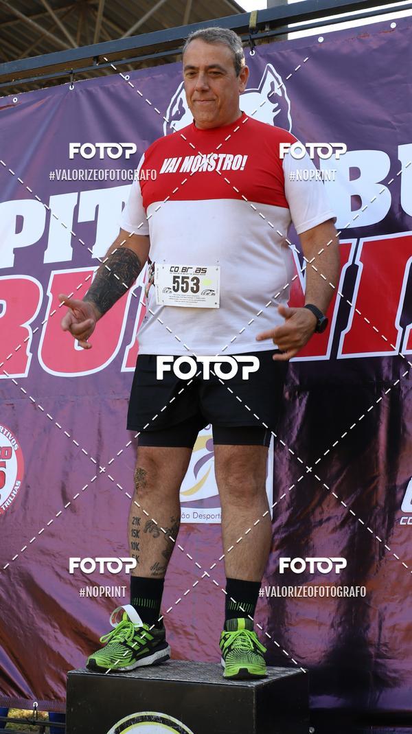 Buy your photos of the eventPIT BULL RUNNING on Fotop