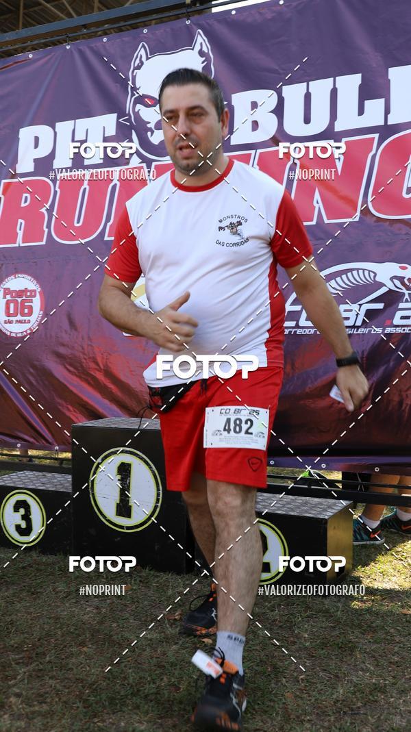 Buy your photos of the eventPIT BULL RUNNING on Fotop