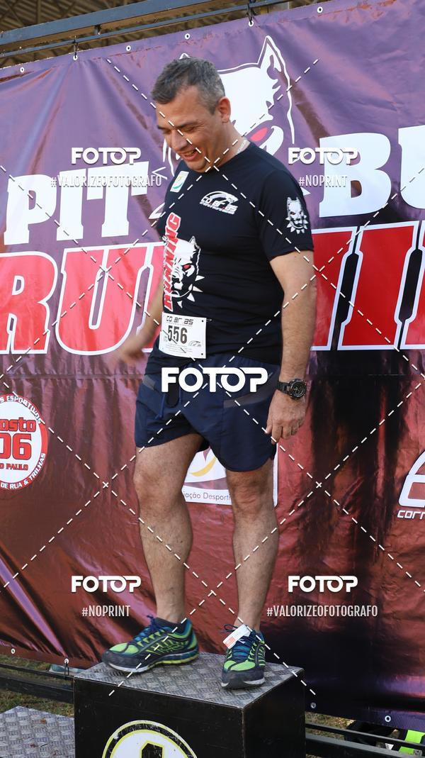 Buy your photos of the eventPIT BULL RUNNING on Fotop