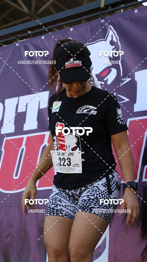 Buy your photos of the eventPIT BULL RUNNING on Fotop