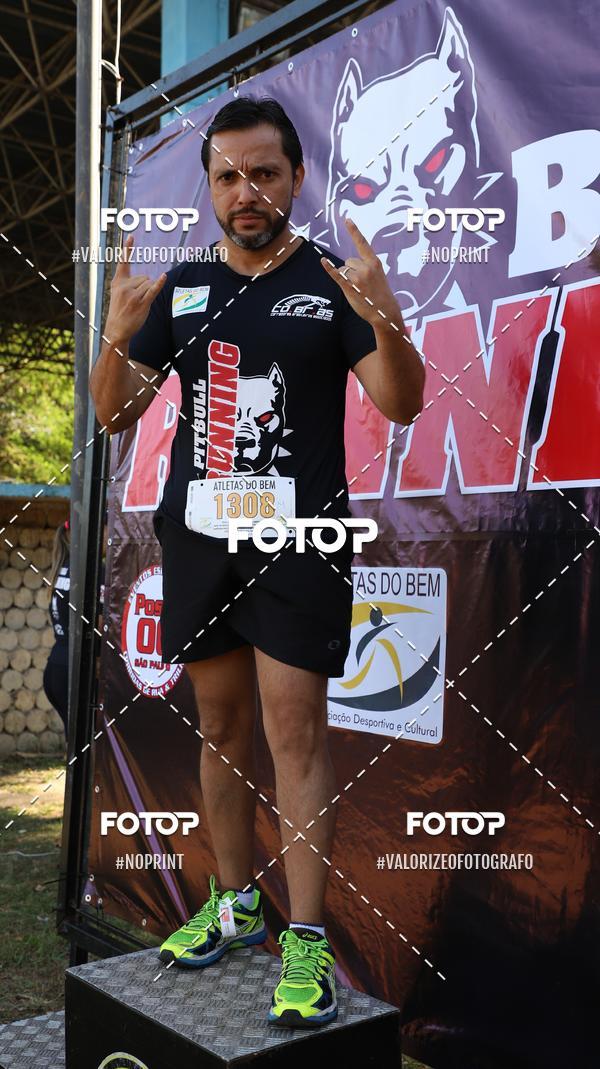 Buy your photos of the eventPIT BULL RUNNING on Fotop