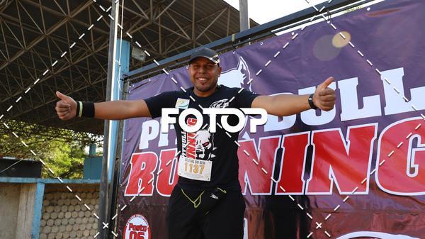 Buy your photos of the eventPIT BULL RUNNING on Fotop