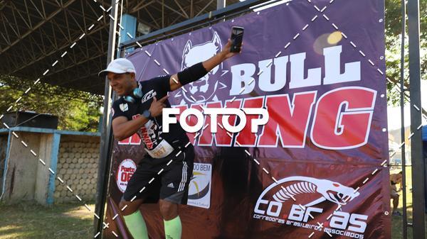 Buy your photos of the eventPIT BULL RUNNING on Fotop