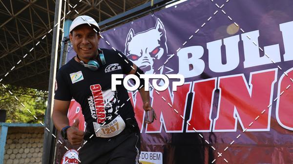 Buy your photos of the eventPIT BULL RUNNING on Fotop