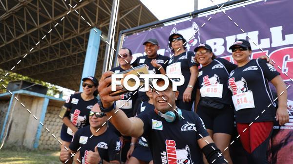 Buy your photos of the eventPIT BULL RUNNING on Fotop