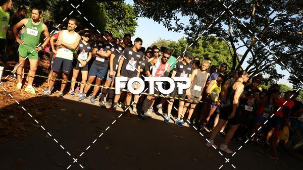 Achetez vos photos de l'vnementPIT BULL RUNNING sur Fotop