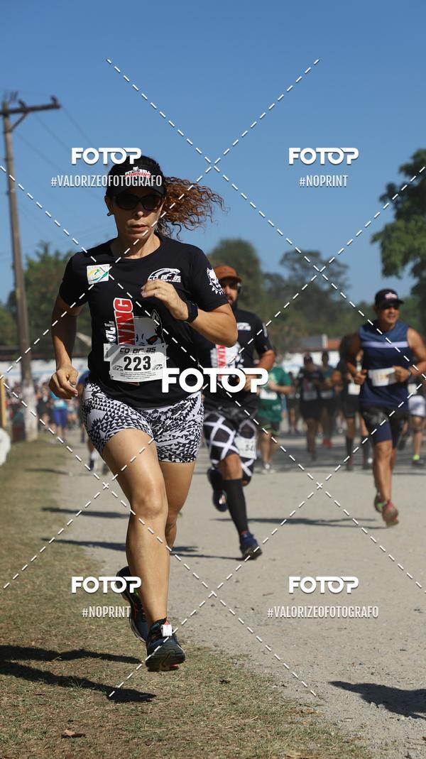 Buy your photos of the eventPIT BULL RUNNING on Fotop