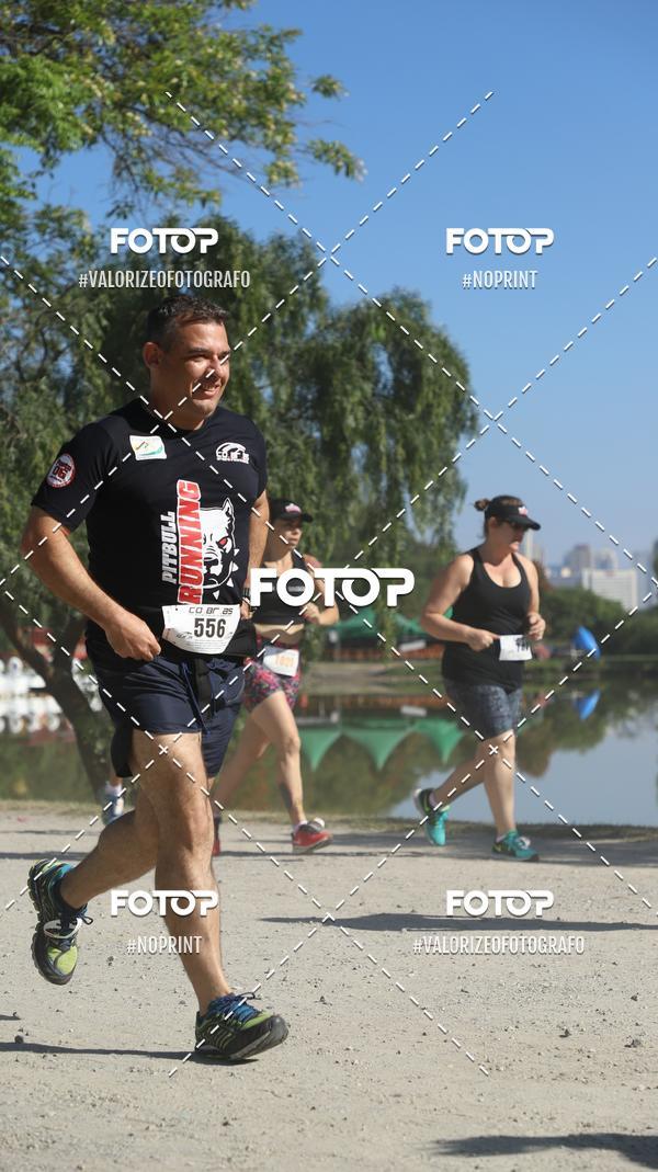 Buy your photos of the eventPIT BULL RUNNING on Fotop