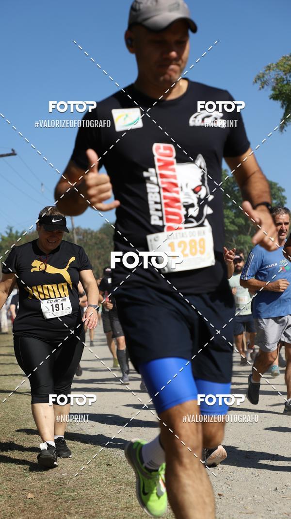 Compra tus fotos del eventoPIT BULL RUNNING En Fotop