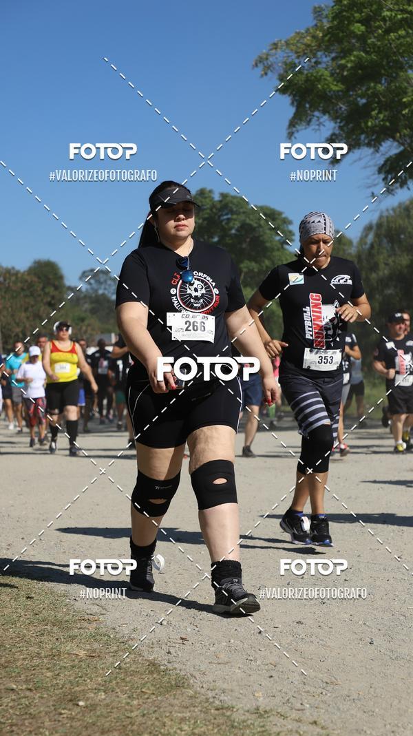 Compra tus fotos del eventoPIT BULL RUNNING En Fotop