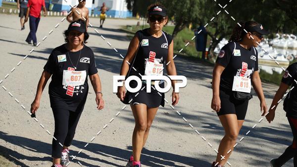 Acquista le foto dell'eventoPIT BULL RUNNING in Fotop