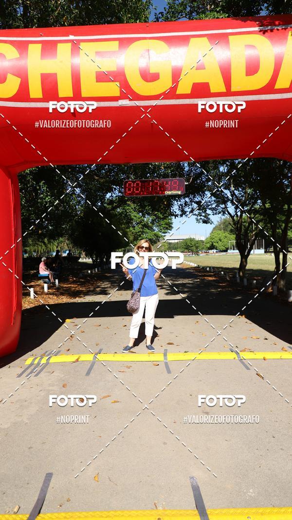 Acquista le foto dell'eventoPIT BULL RUNNING in Fotop