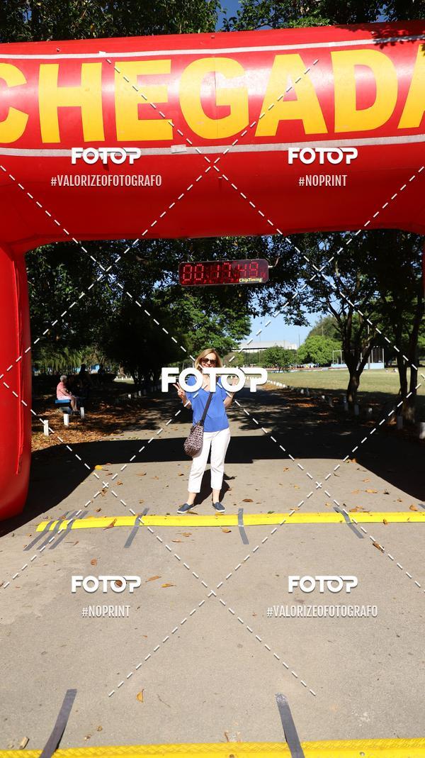 Acquista le foto dell'eventoPIT BULL RUNNING in Fotop