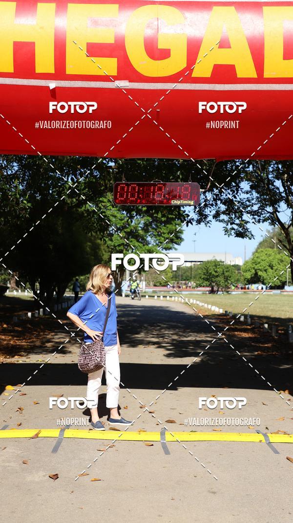 Acquista le foto dell'eventoPIT BULL RUNNING in Fotop