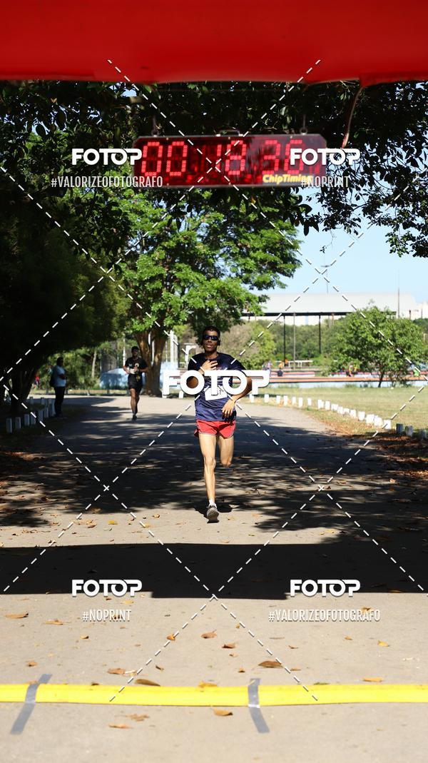 Acquista le foto dell'eventoPIT BULL RUNNING in Fotop