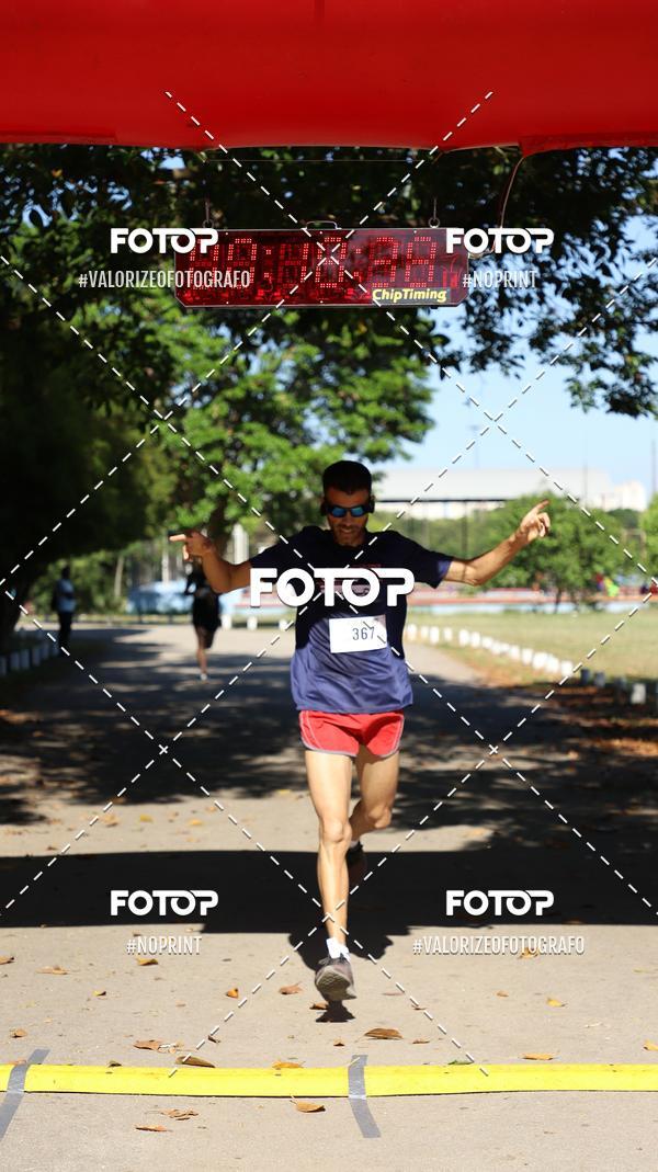 Acquista le foto dell'eventoPIT BULL RUNNING in Fotop