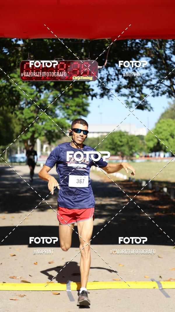 Acquista le foto dell'eventoPIT BULL RUNNING in Fotop