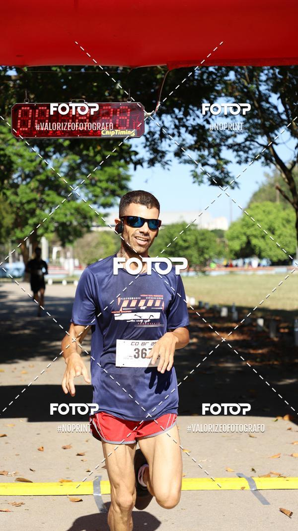 Acquista le foto dell'eventoPIT BULL RUNNING in Fotop