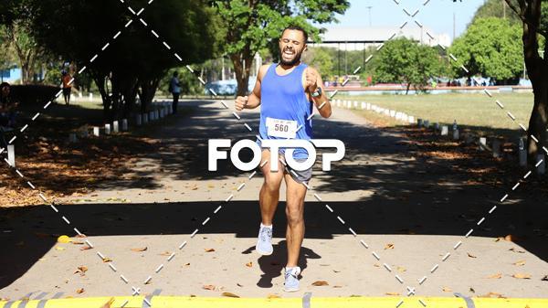 Compre as suas fotos do eventoPIT BULL RUNNING no Fotop