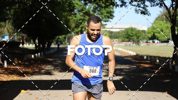 Compre as suas fotos do eventoPIT BULL RUNNING no Fotop