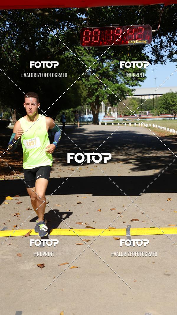 Compre as suas fotos do eventoPIT BULL RUNNING no Fotop