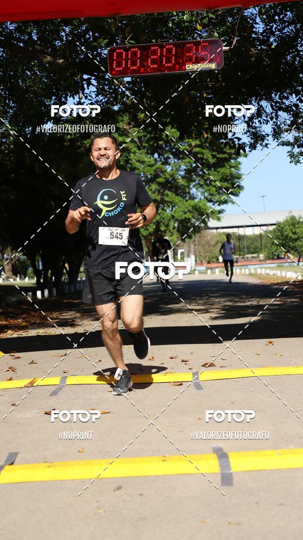 Acquista le foto dell'eventoPIT BULL RUNNING in Fotop