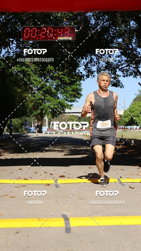 Acquista le foto dell'eventoPIT BULL RUNNING in Fotop