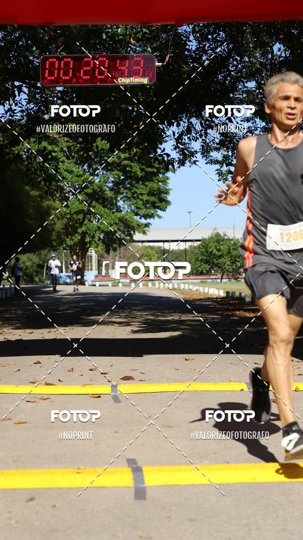 Acquista le foto dell'eventoPIT BULL RUNNING in Fotop