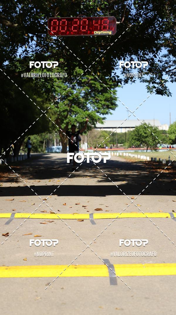 Acquista le foto dell'eventoPIT BULL RUNNING in Fotop