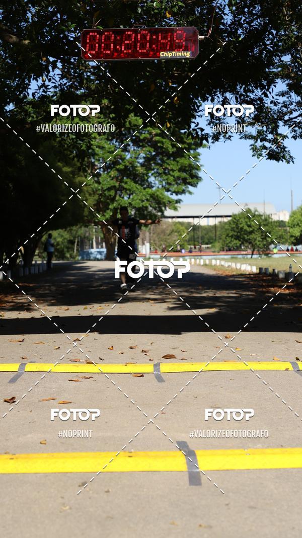 Acquista le foto dell'eventoPIT BULL RUNNING in Fotop