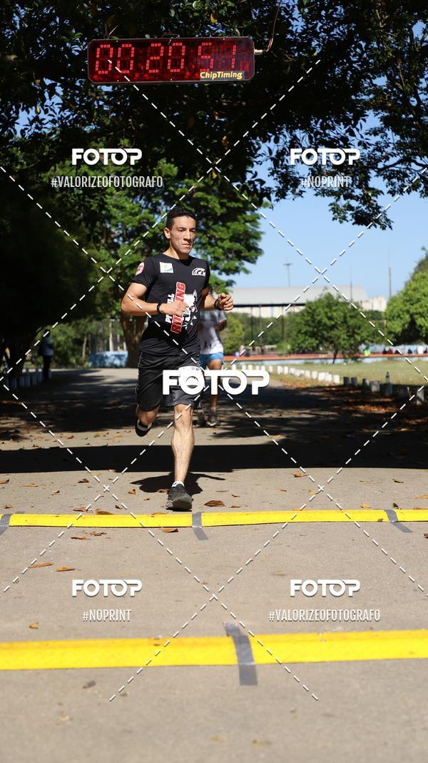 Acquista le foto dell'eventoPIT BULL RUNNING in Fotop