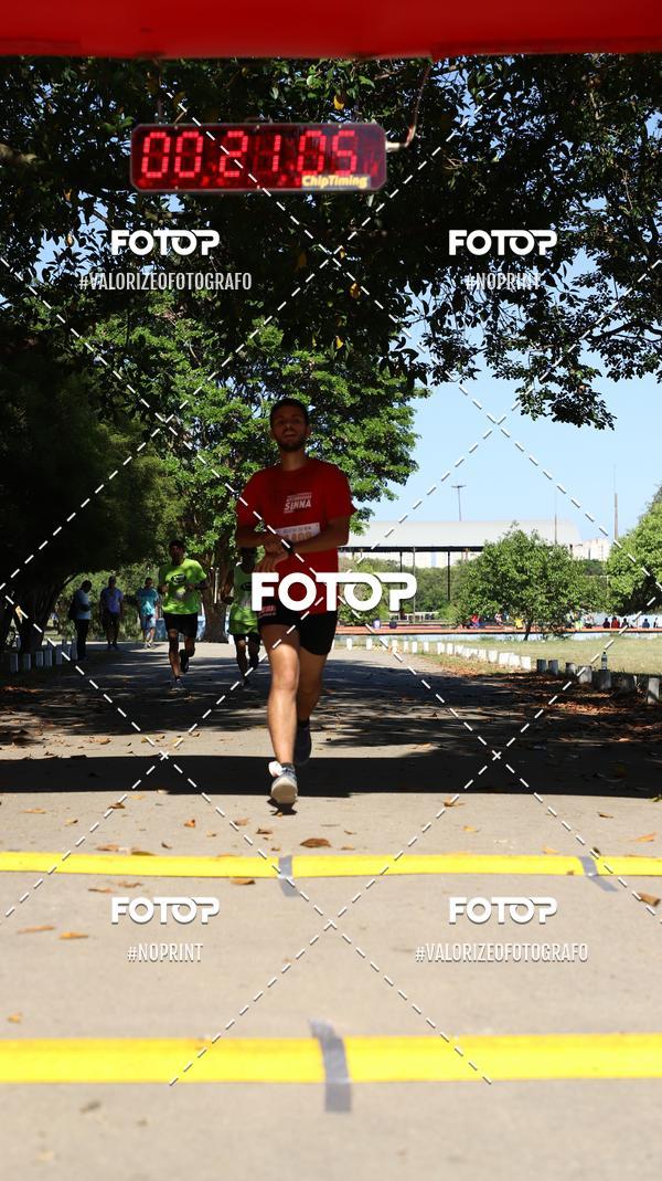 Acquista le foto dell'eventoPIT BULL RUNNING in Fotop