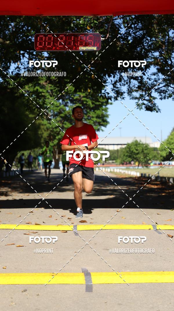 Acquista le foto dell'eventoPIT BULL RUNNING in Fotop