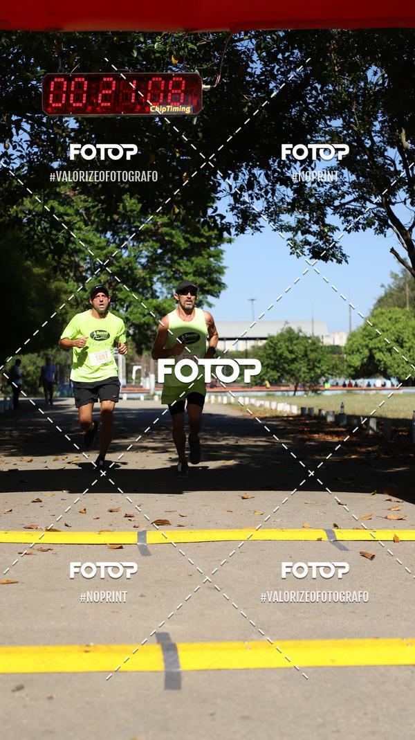 Acquista le foto dell'eventoPIT BULL RUNNING in Fotop