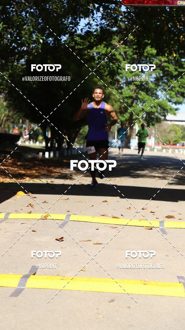 Acquista le foto dell'eventoPIT BULL RUNNING in Fotop