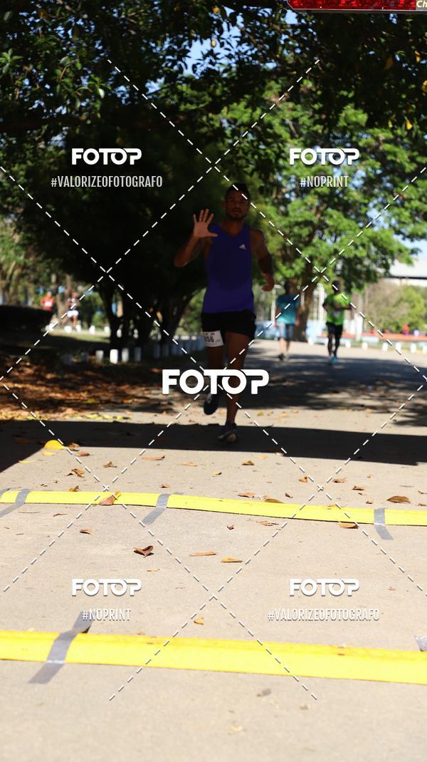 Acquista le foto dell'eventoPIT BULL RUNNING in Fotop