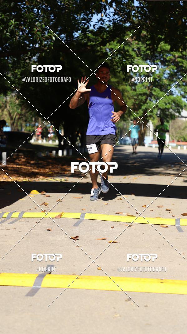 Acquista le foto dell'eventoPIT BULL RUNNING in Fotop