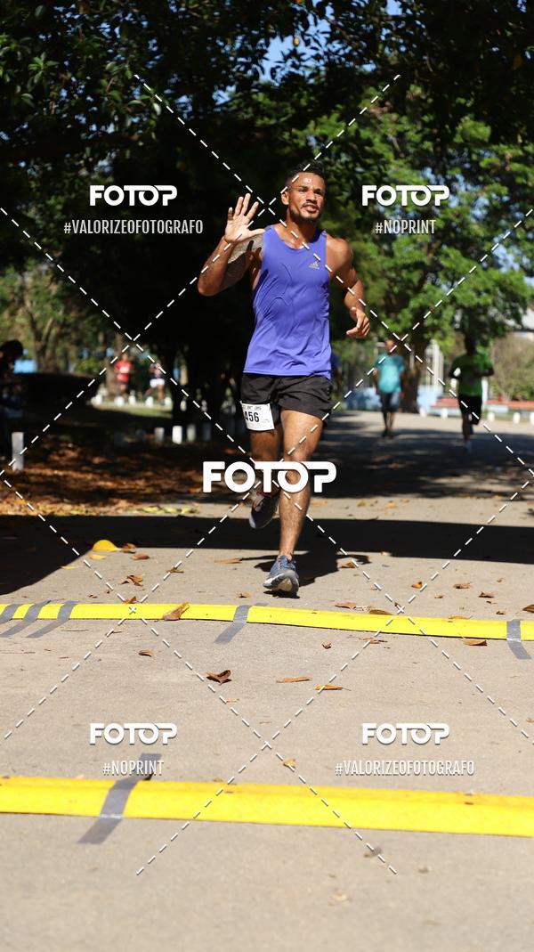 Acquista le foto dell'eventoPIT BULL RUNNING in Fotop