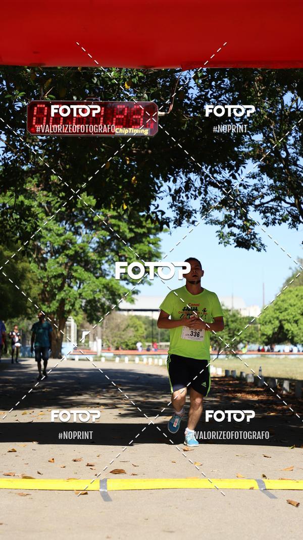 Acquista le foto dell'eventoPIT BULL RUNNING in Fotop