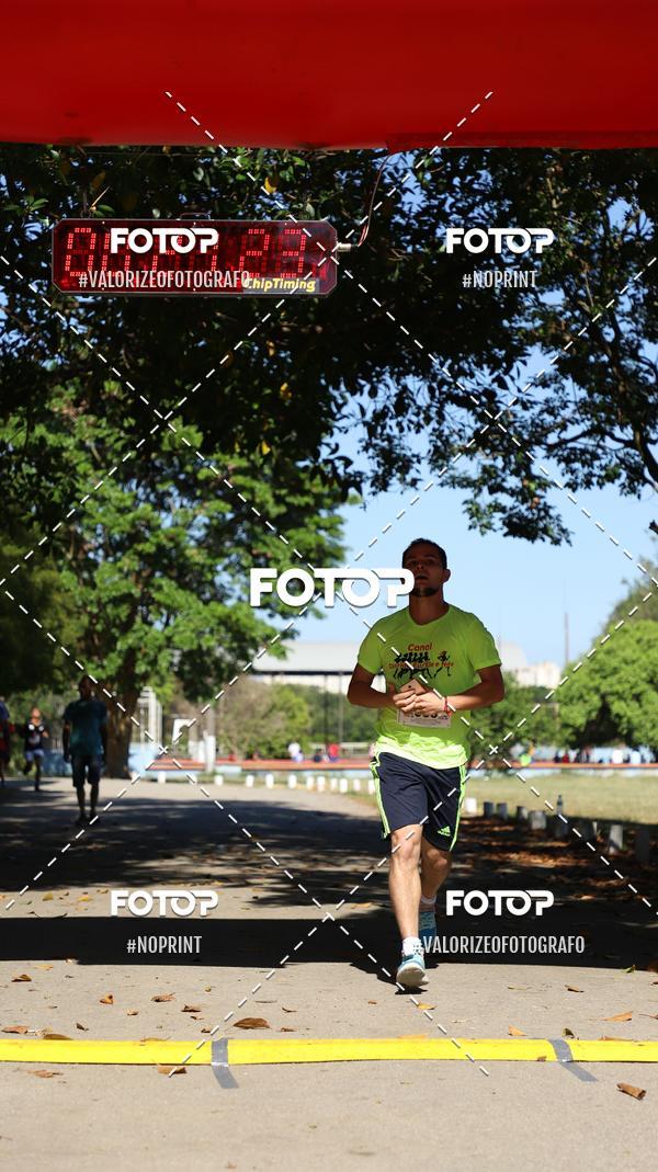 Acquista le foto dell'eventoPIT BULL RUNNING in Fotop