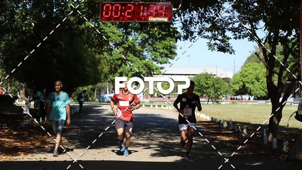 Acquista le foto dell'eventoPIT BULL RUNNING in Fotop