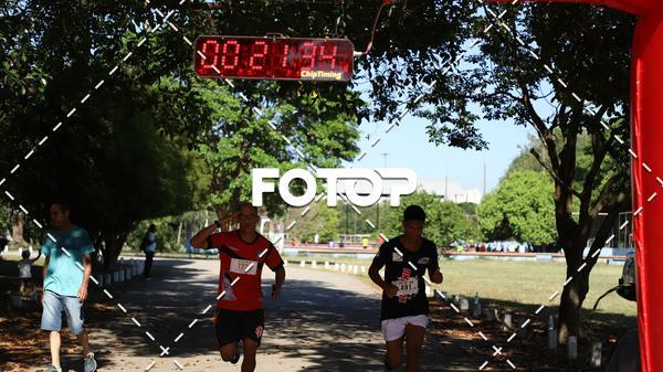 Acquista le foto dell'eventoPIT BULL RUNNING in Fotop